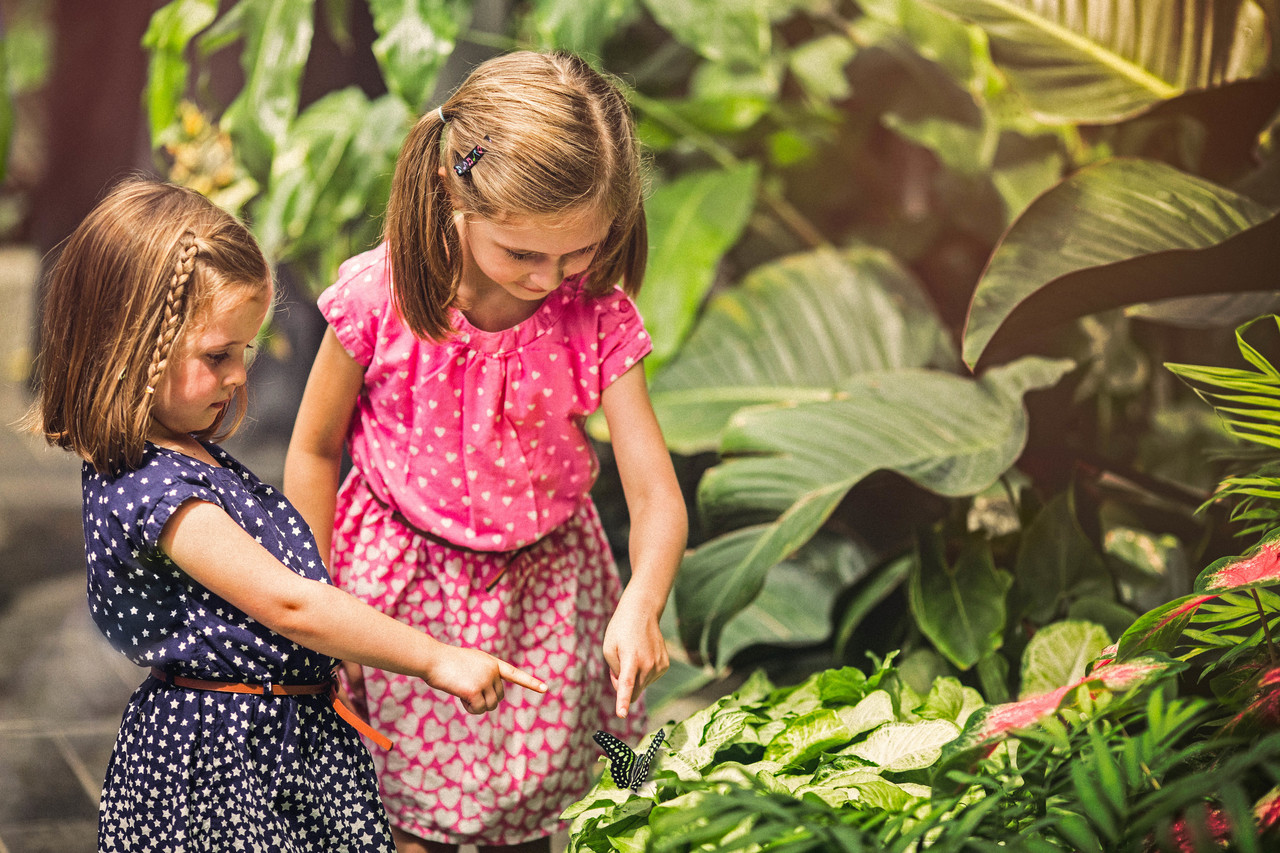 Two kids are amazed by butterflies at the Calgary Zoo